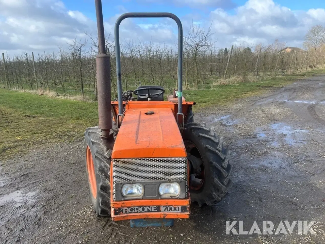 Billede 7 - Plantagetraktor Antonio Carrarro Tigrone 7000 4x4