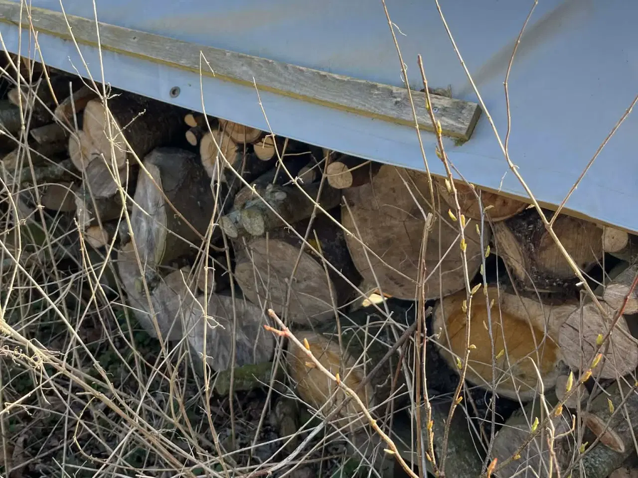 Billede 3 - Tørt 2 år ukløvet brænde