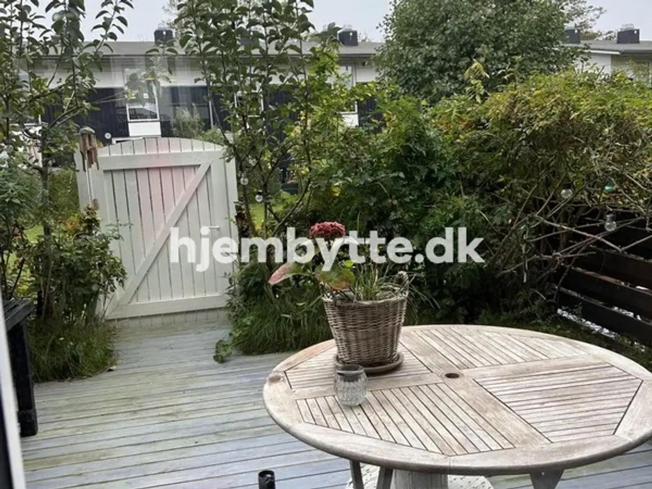 Billede 9 - Hjembytte - Hyldemosen