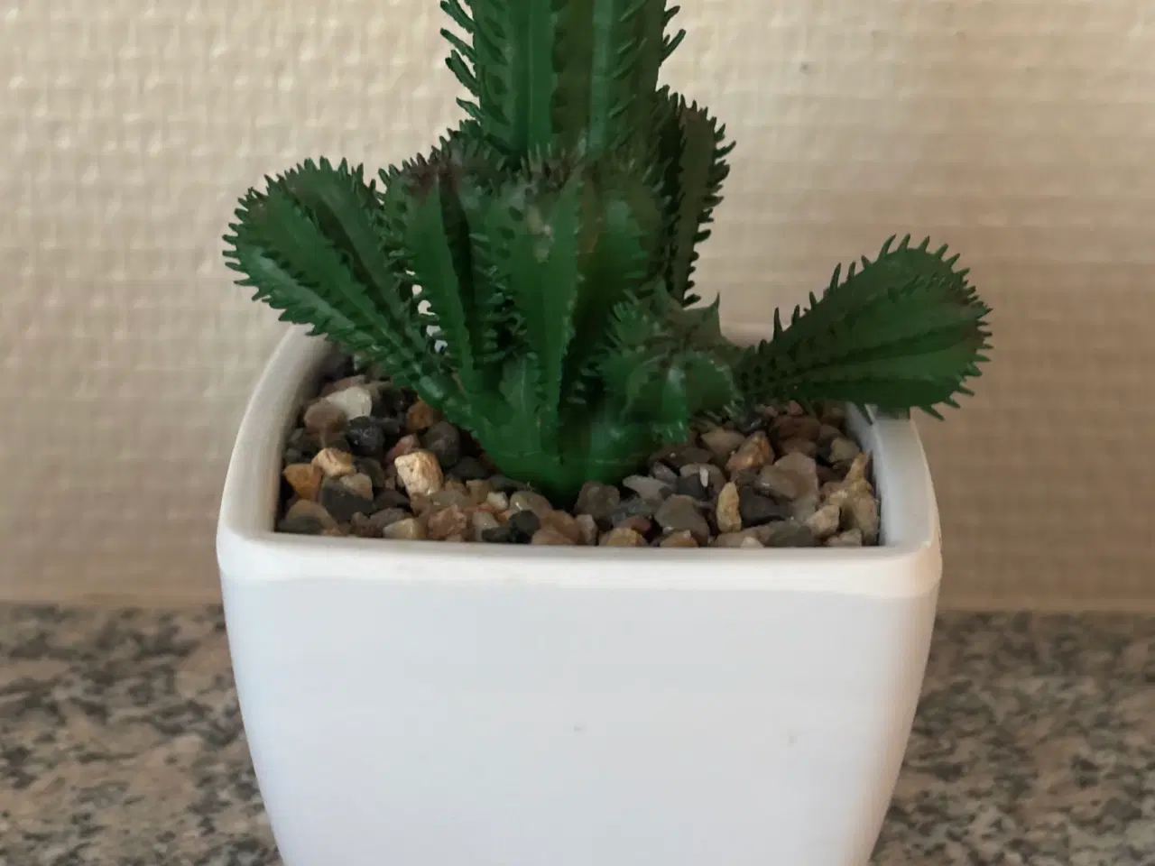 Billede 4 - 4 små plastik planter 