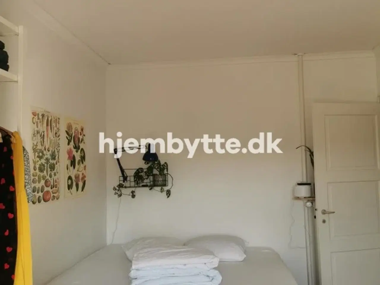 Billede 12 - Hjembytte - Birkedommervej