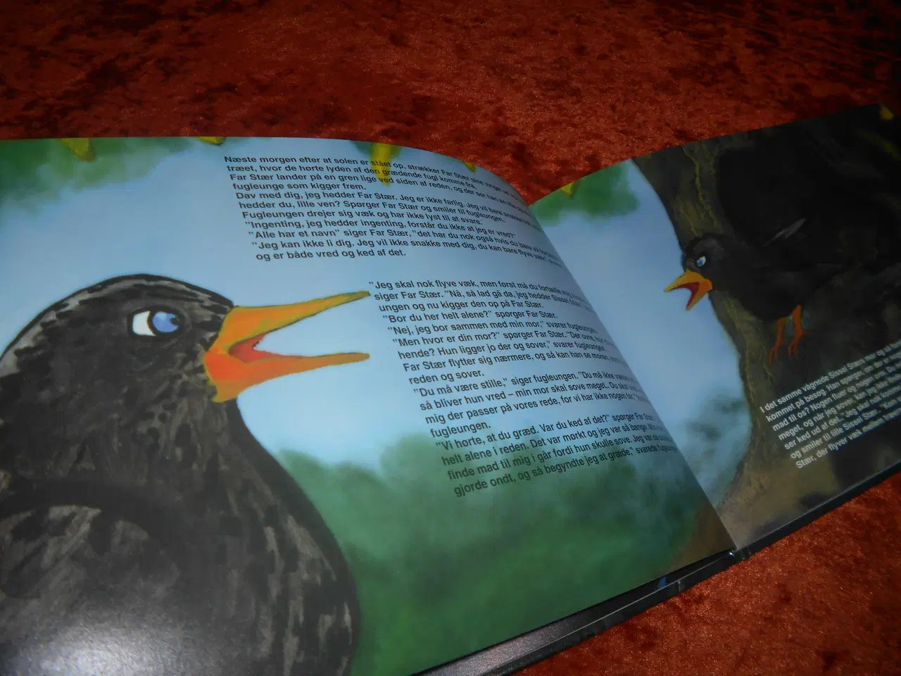 Billede 2 - Historien om Sissel Stær, Svein Fürstenberg Rysjed