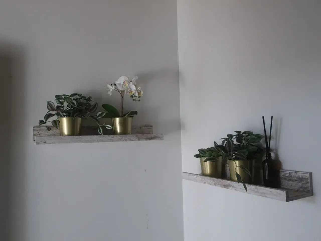 Billede 5 - Reoler / planter m.m.