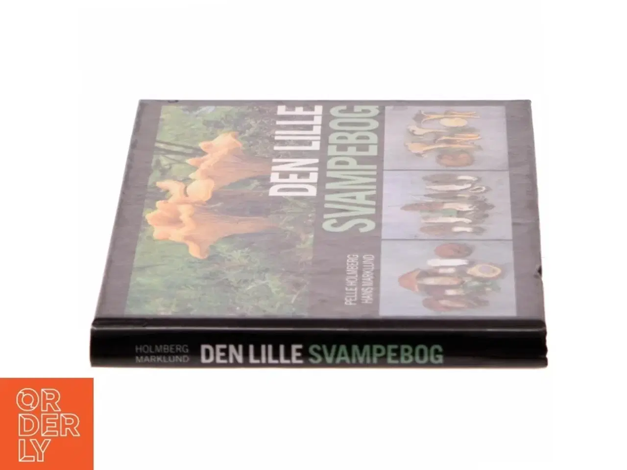 Billede 2 - Den lille svampebog af Pelle Holmberg (Bog)