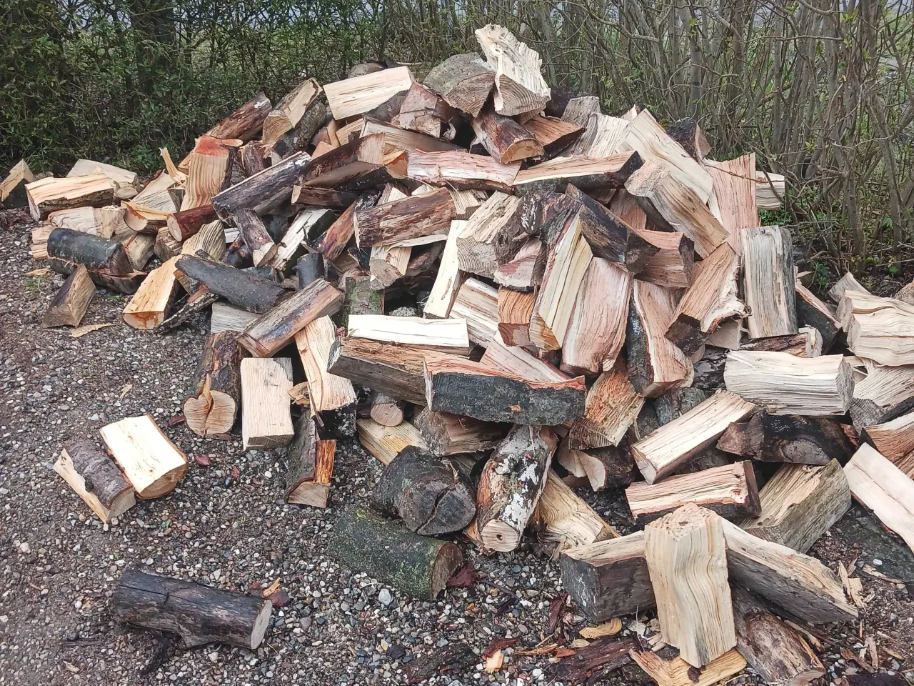 Billede 1 - Blandet løvtræ 