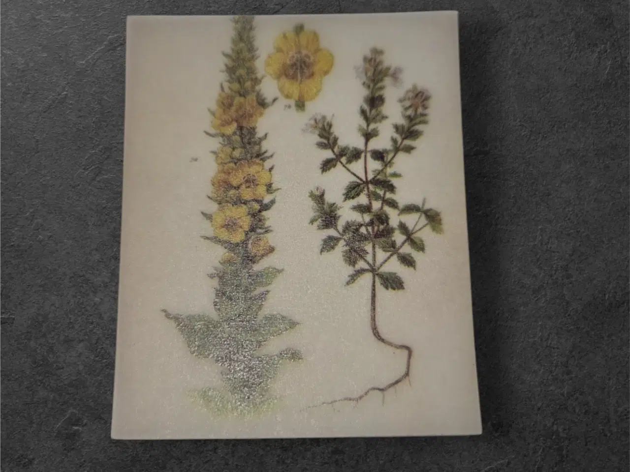 Billede 1 - Botaniske papirark med elegance og dybde til hobby