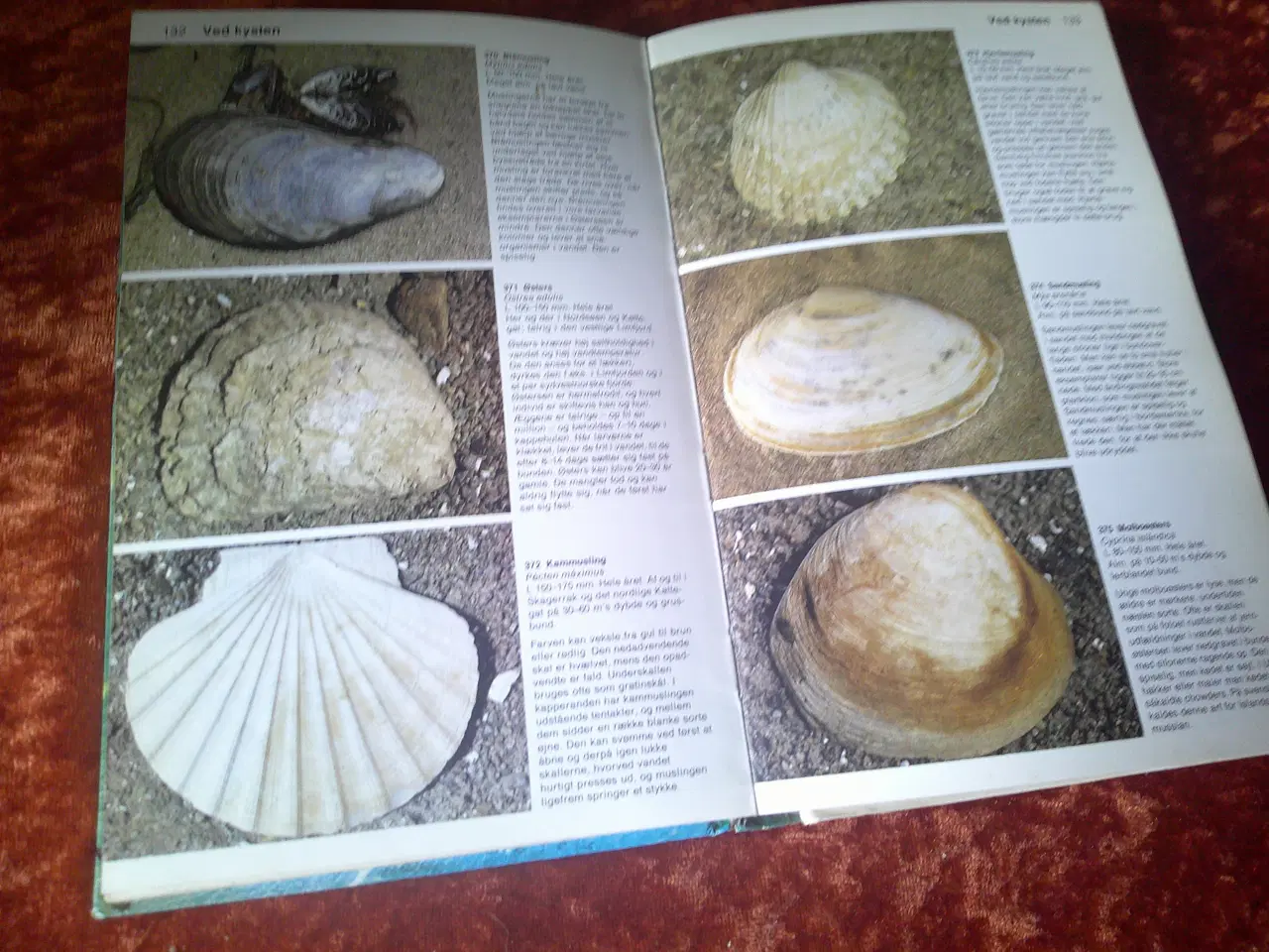 Billede 4 - Småkræ, Åke Sandhall,