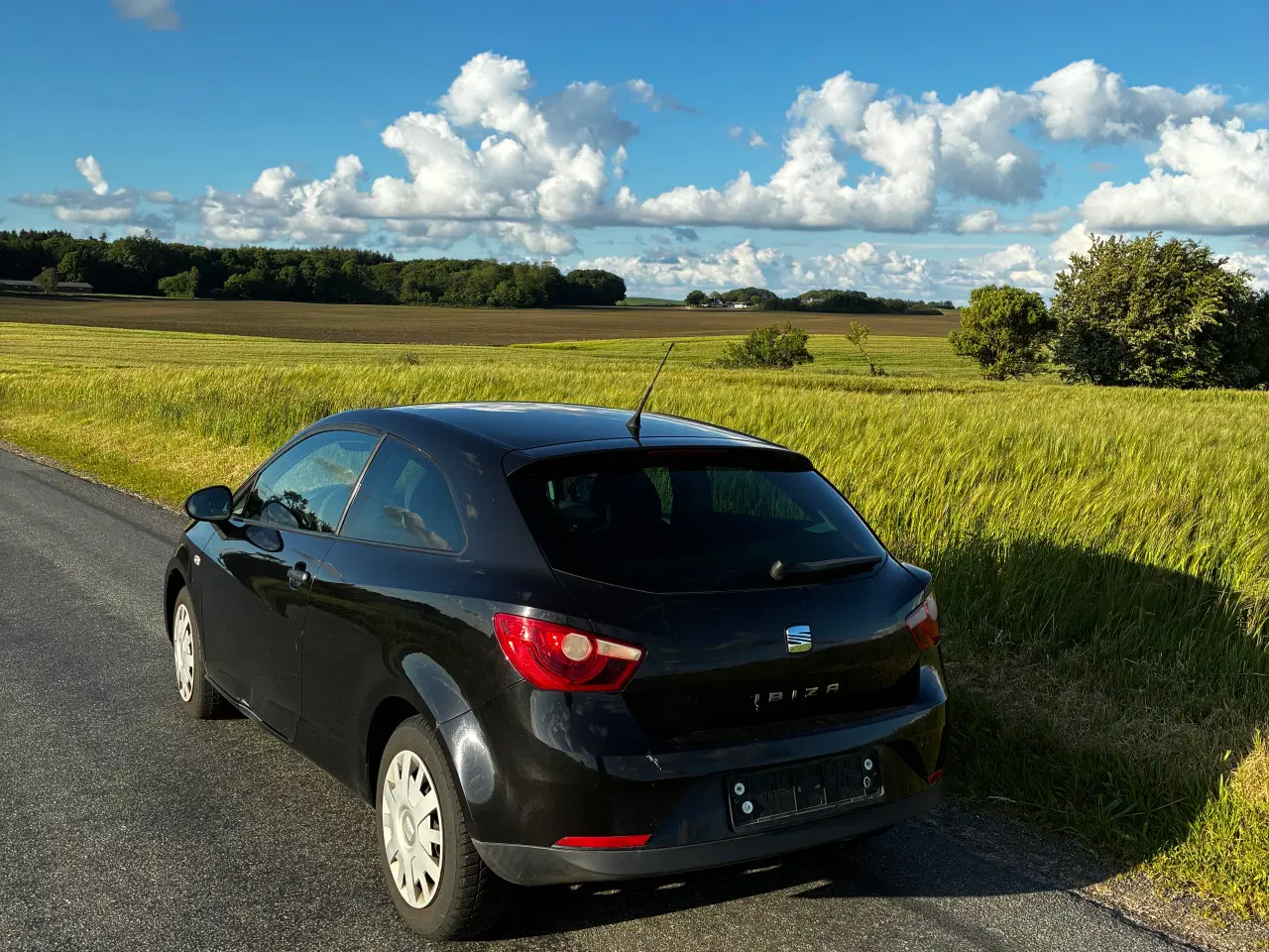 Billede 5 - Seat Ibiza 1,4 benzin 2010