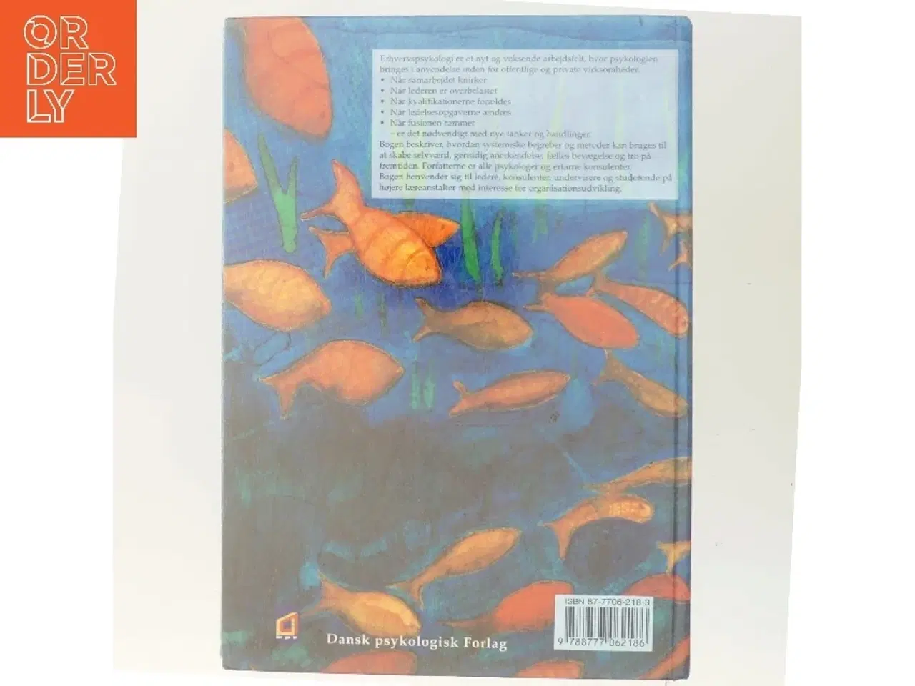 Billede 3 - Erhvervspsykologi i praksis : metoder til fælles bevægelse (Bog)