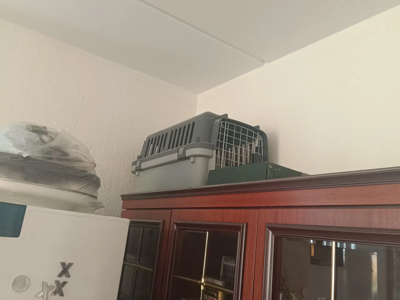 Billede 2 - hun kat med  klatter stativ og mange andre ting 