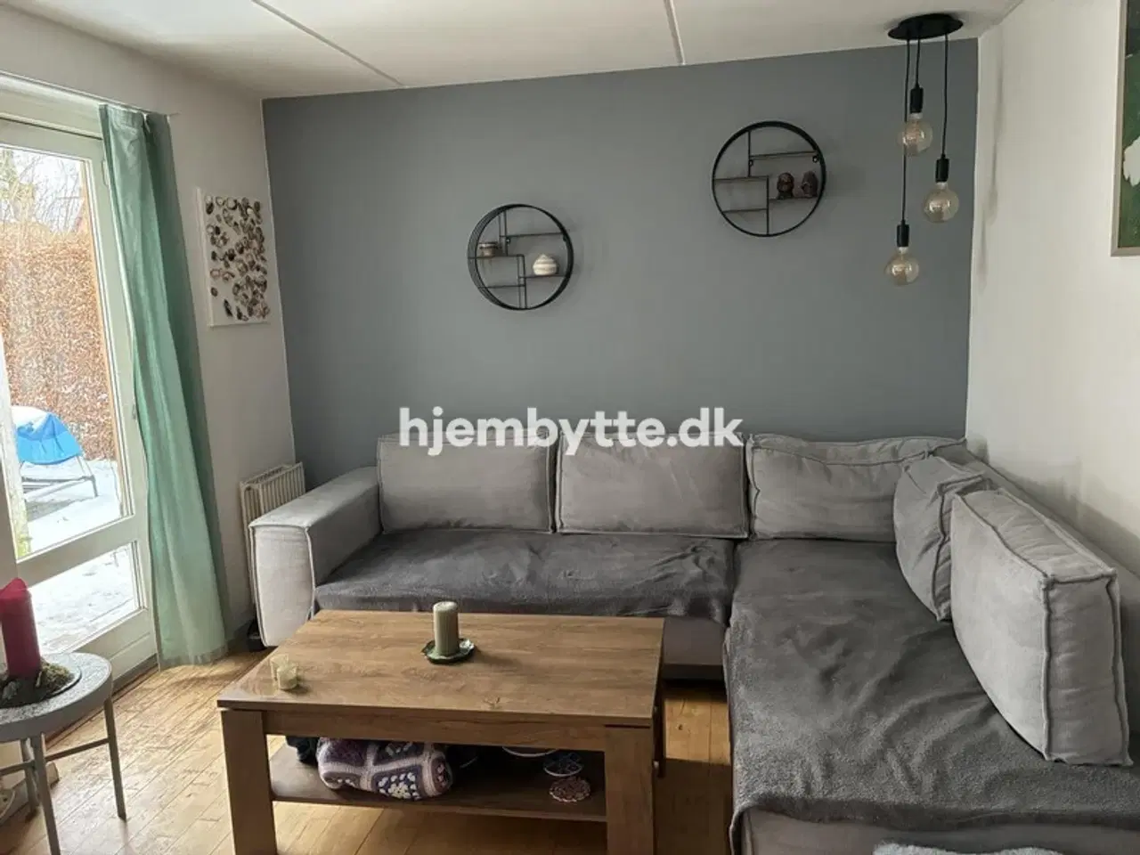 Billede 2 - Hjembytte - Nødebohave