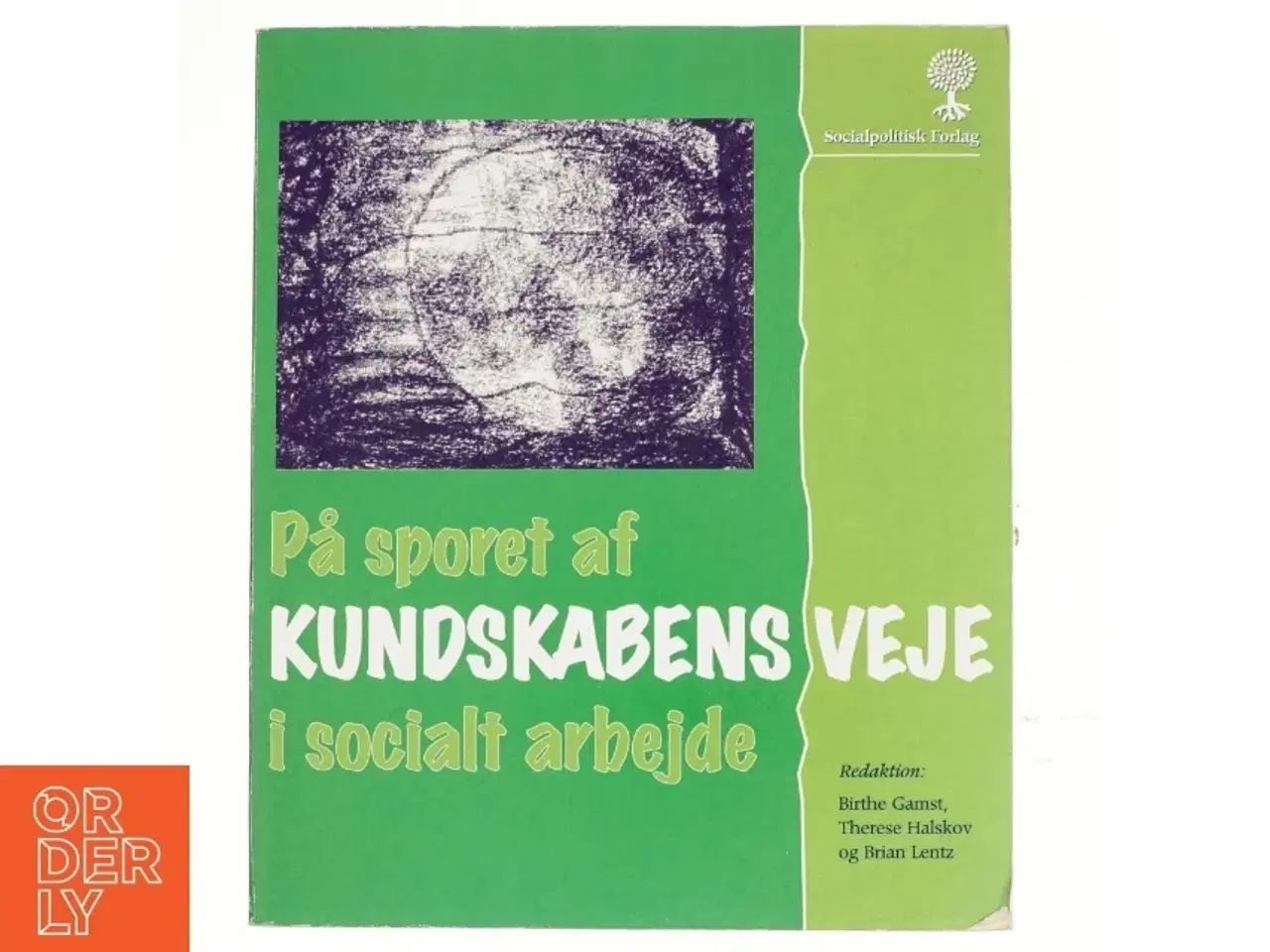 Billede 1 - På sporet af kundskabens veje i socialt arbejde (Bog)