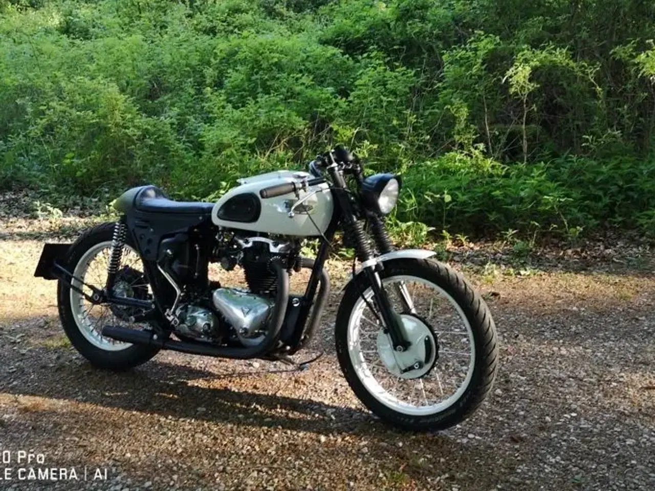 Billede 7 - Triumph