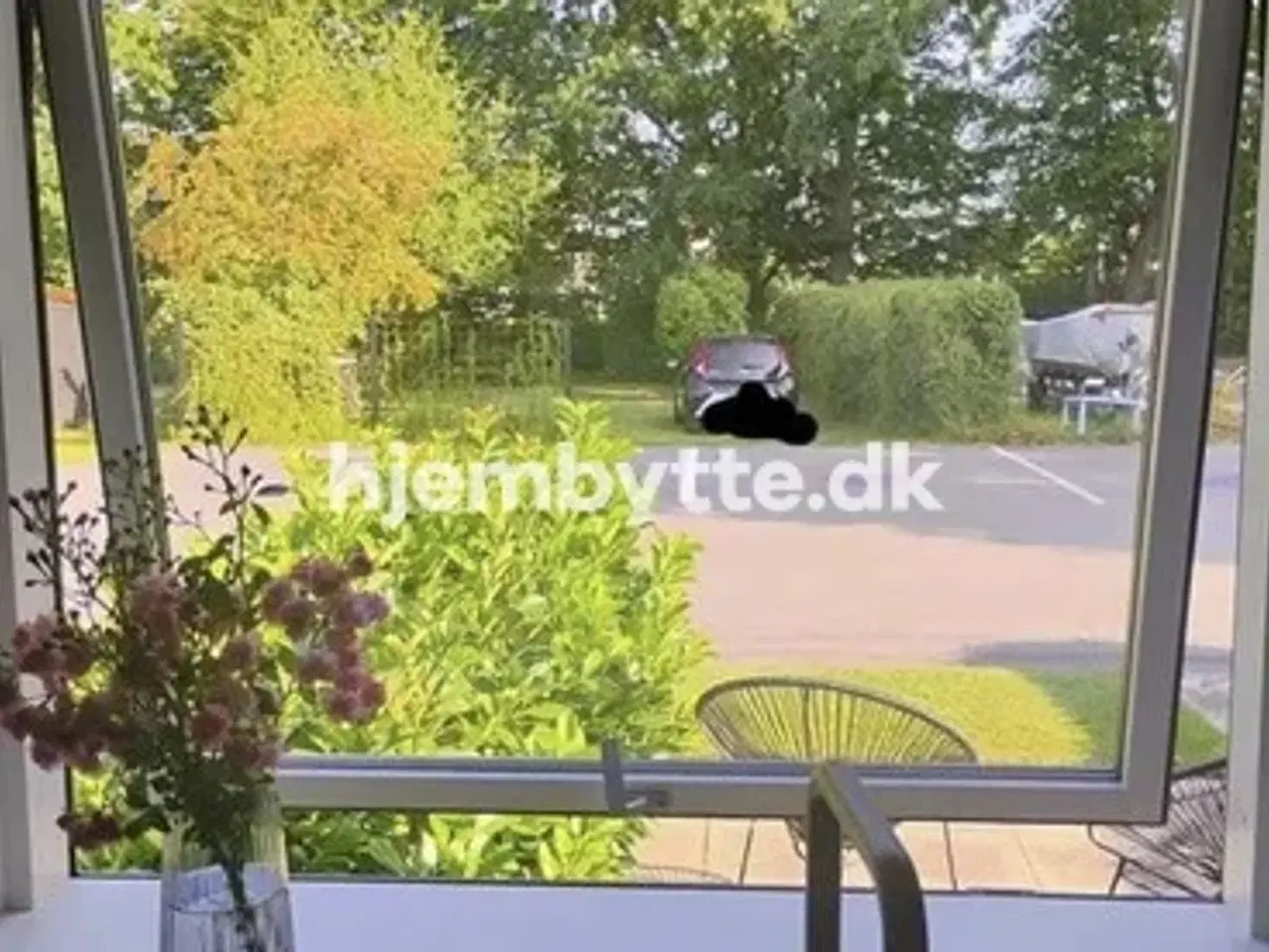 Billede 2 - Hjembytte - Rugskellet