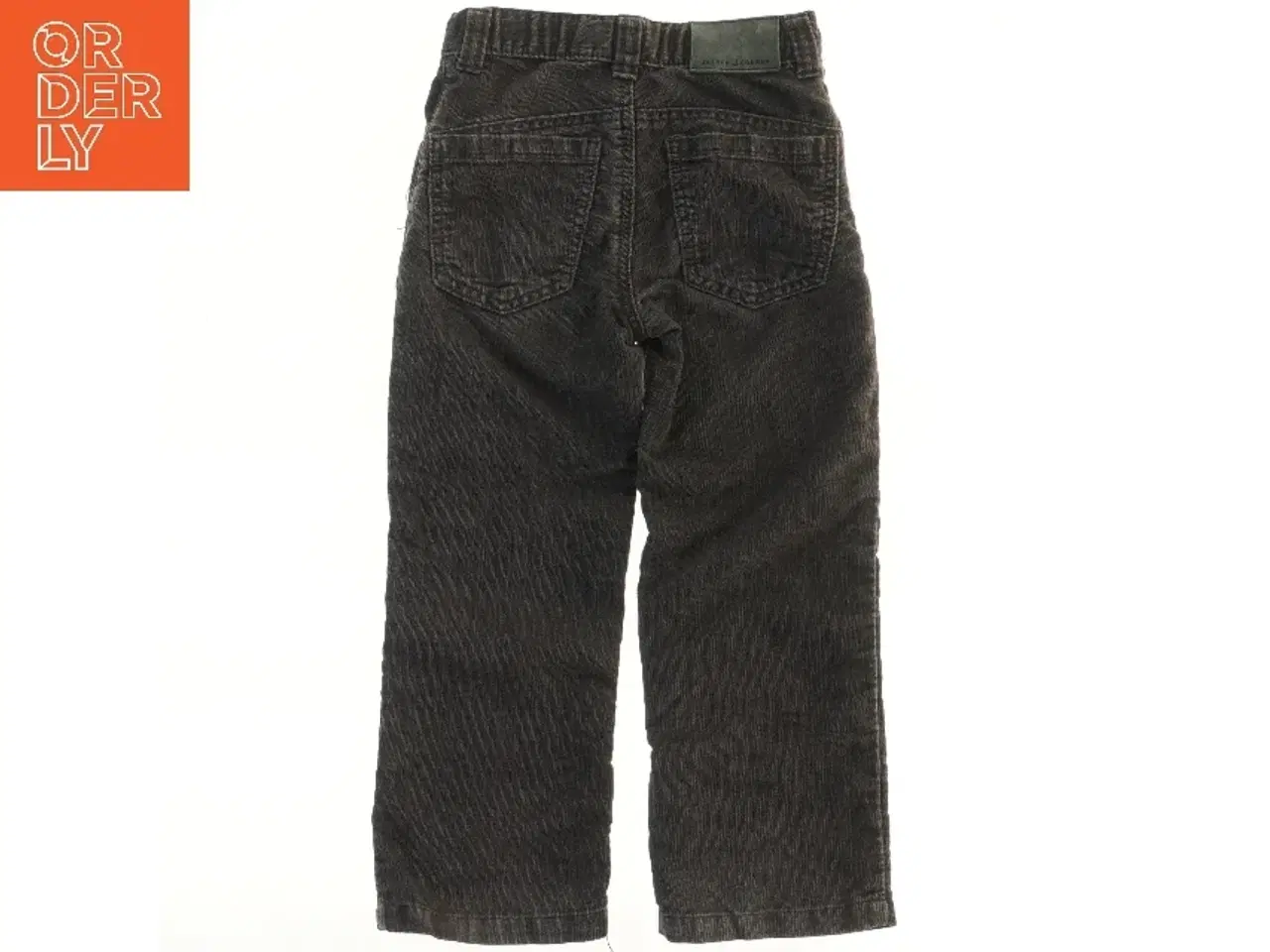 Billede 2 - Fløjsbukser til børn fra Jasper J Conran (str. 110)