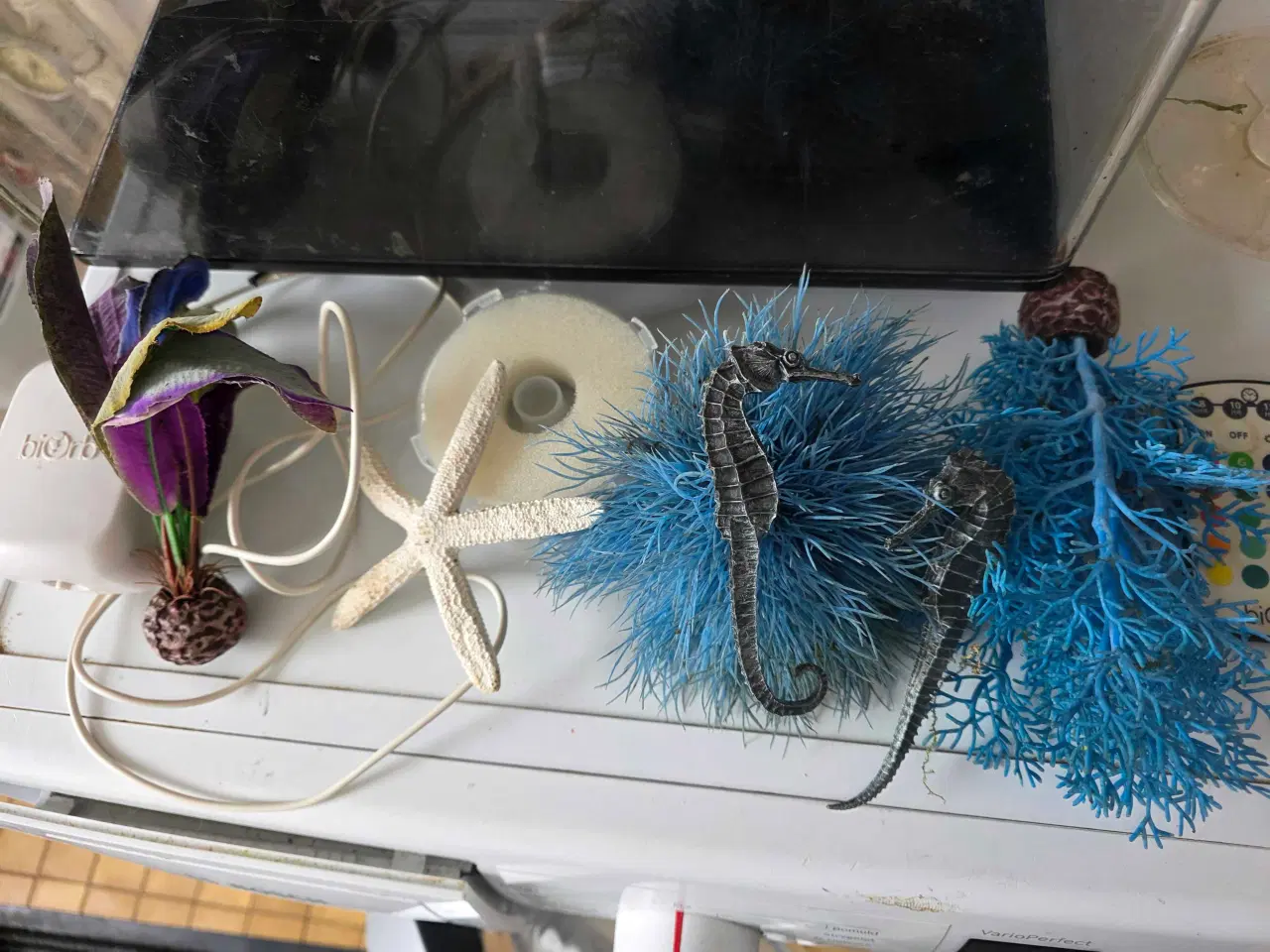 Billede 7 - BiOrb 60 udgået model