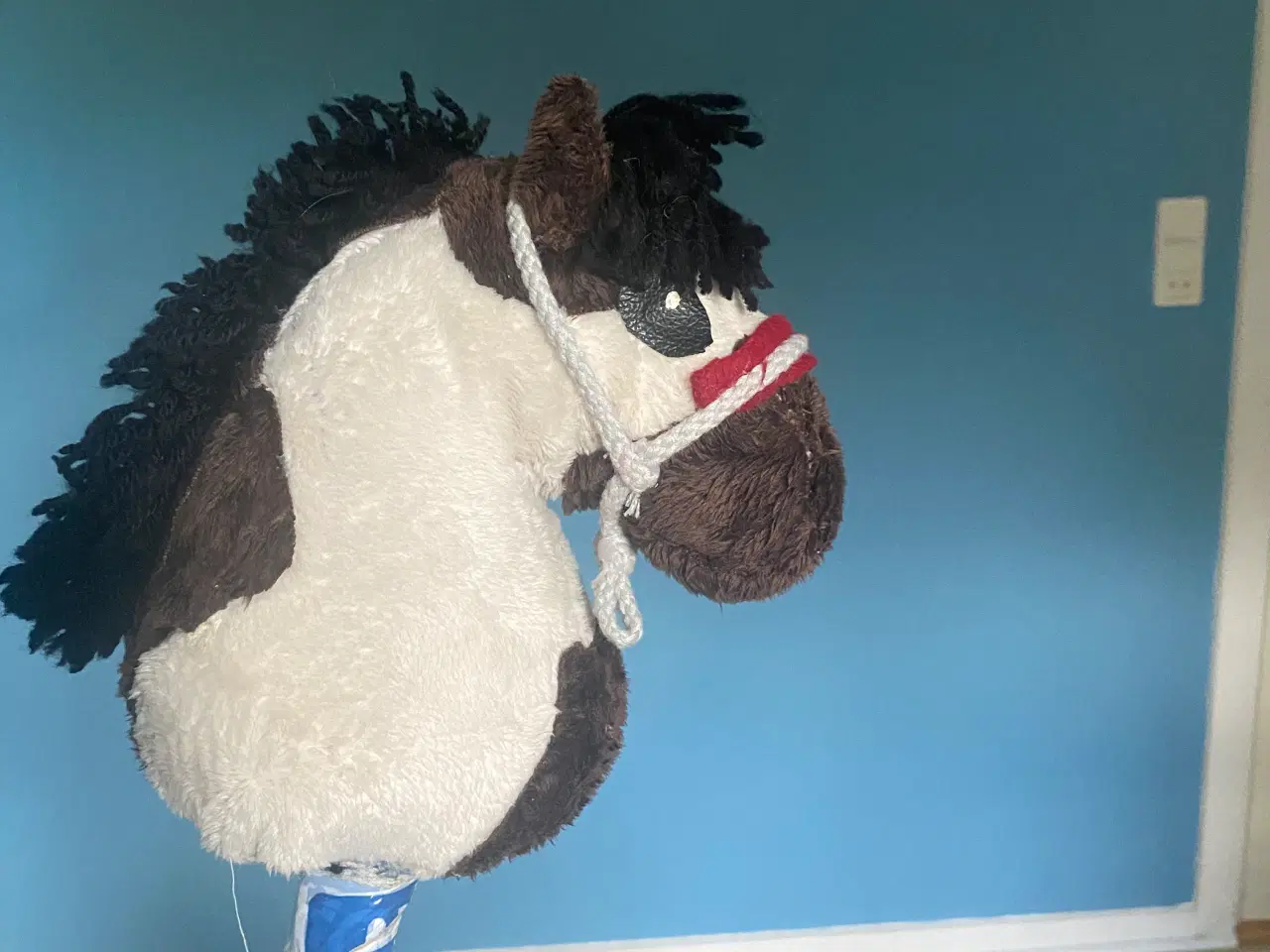 Billede 4 - Kæphest, hobbyhorse føl