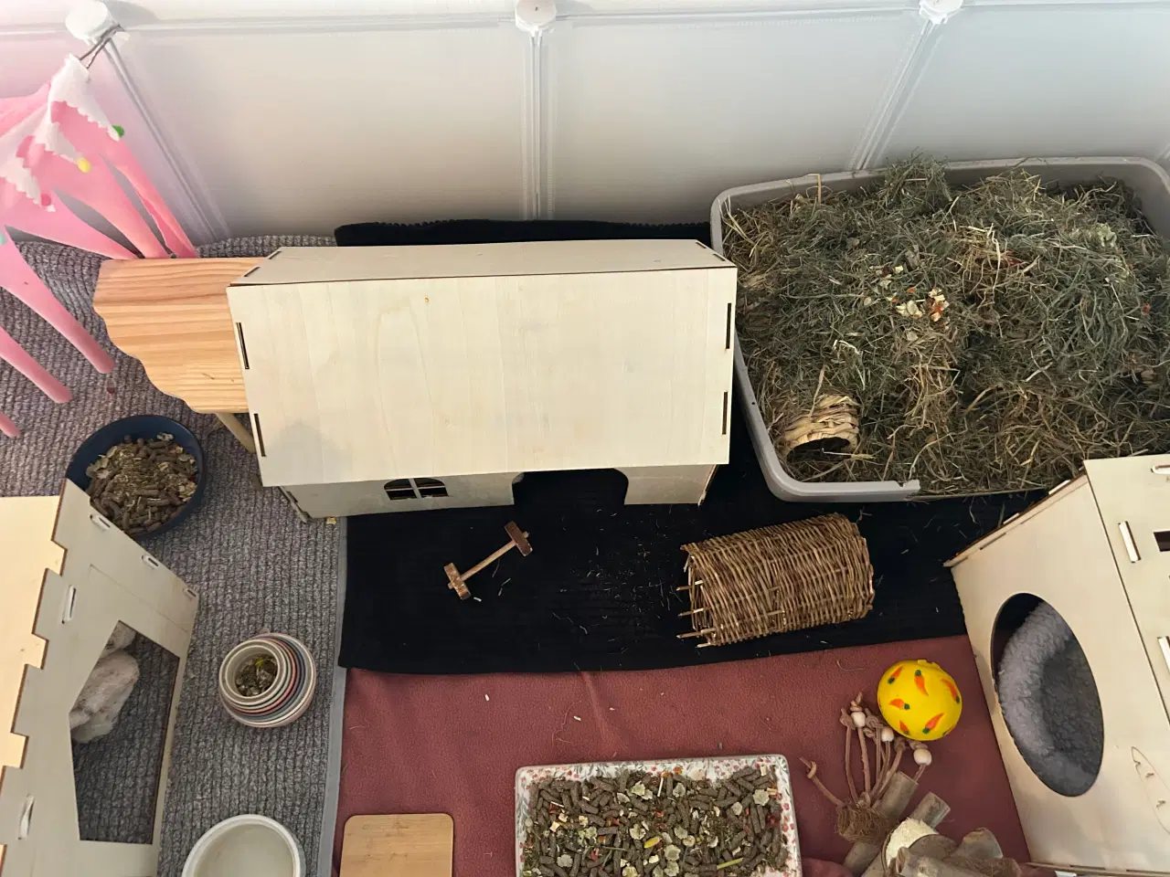 Billede 7 - Sælger to søde marsvin inklusivt buret 