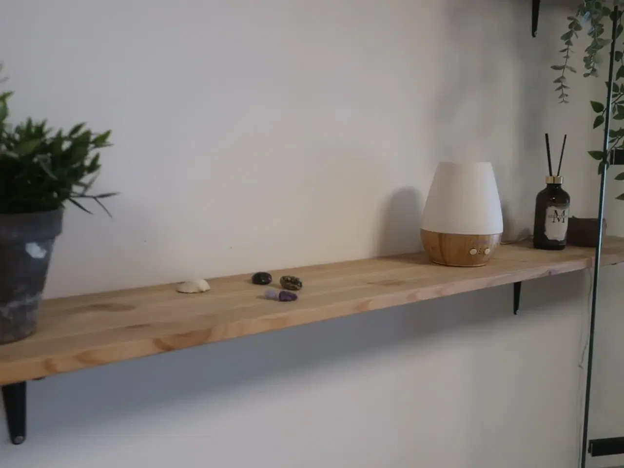 Billede 7 - Reol med indhold / hylder med indhold / plante m.m.