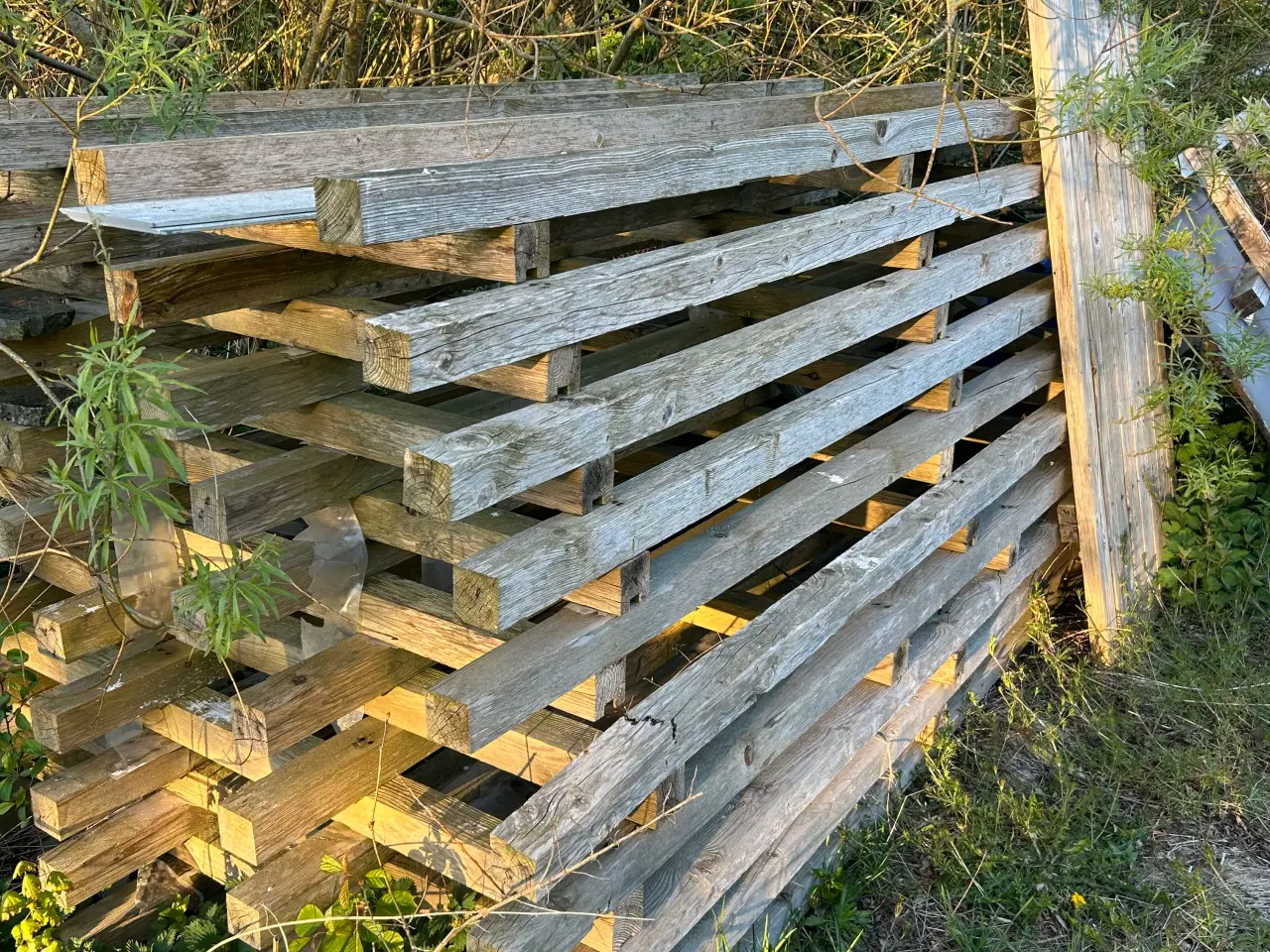 Billede 1 - Kæmpe Palle 