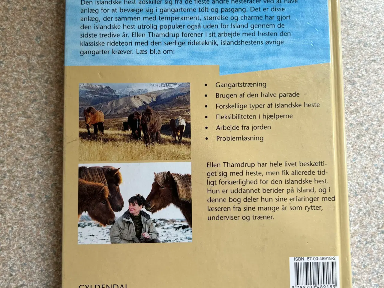 Billede 5 - 3 Hestebøger