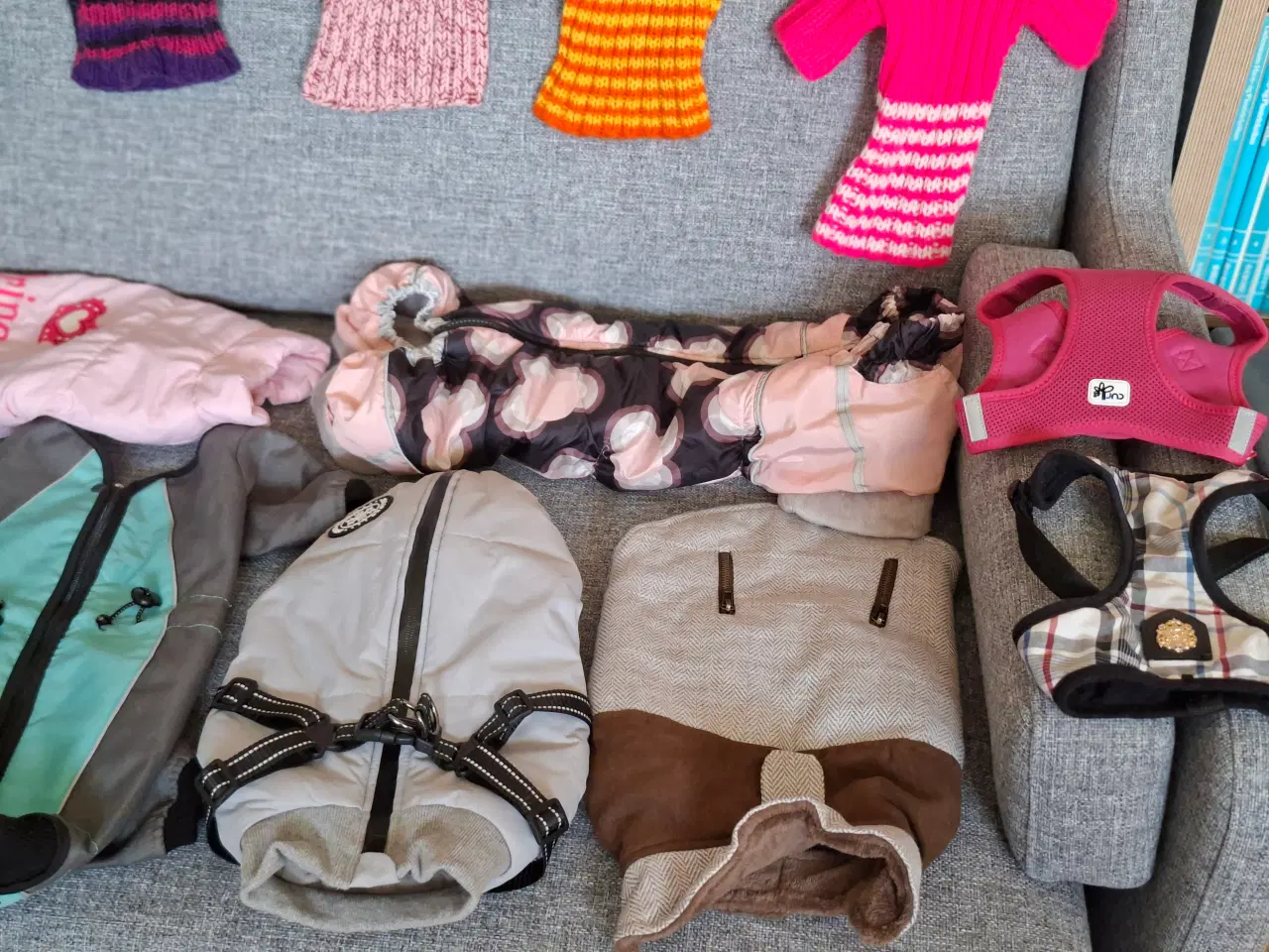 Billede 4 - Diverse hundedragter