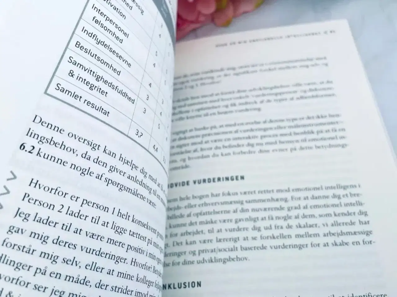 Billede 5 - Emotionel intelligens i organisationer