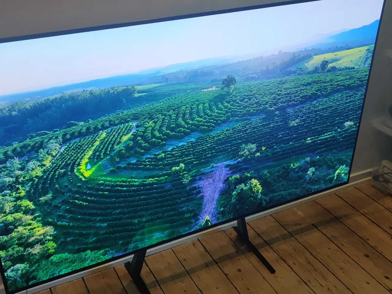 Billede 5 - LG 77" OLED TV (OLED77CX6LA) – Fantastisk billede 