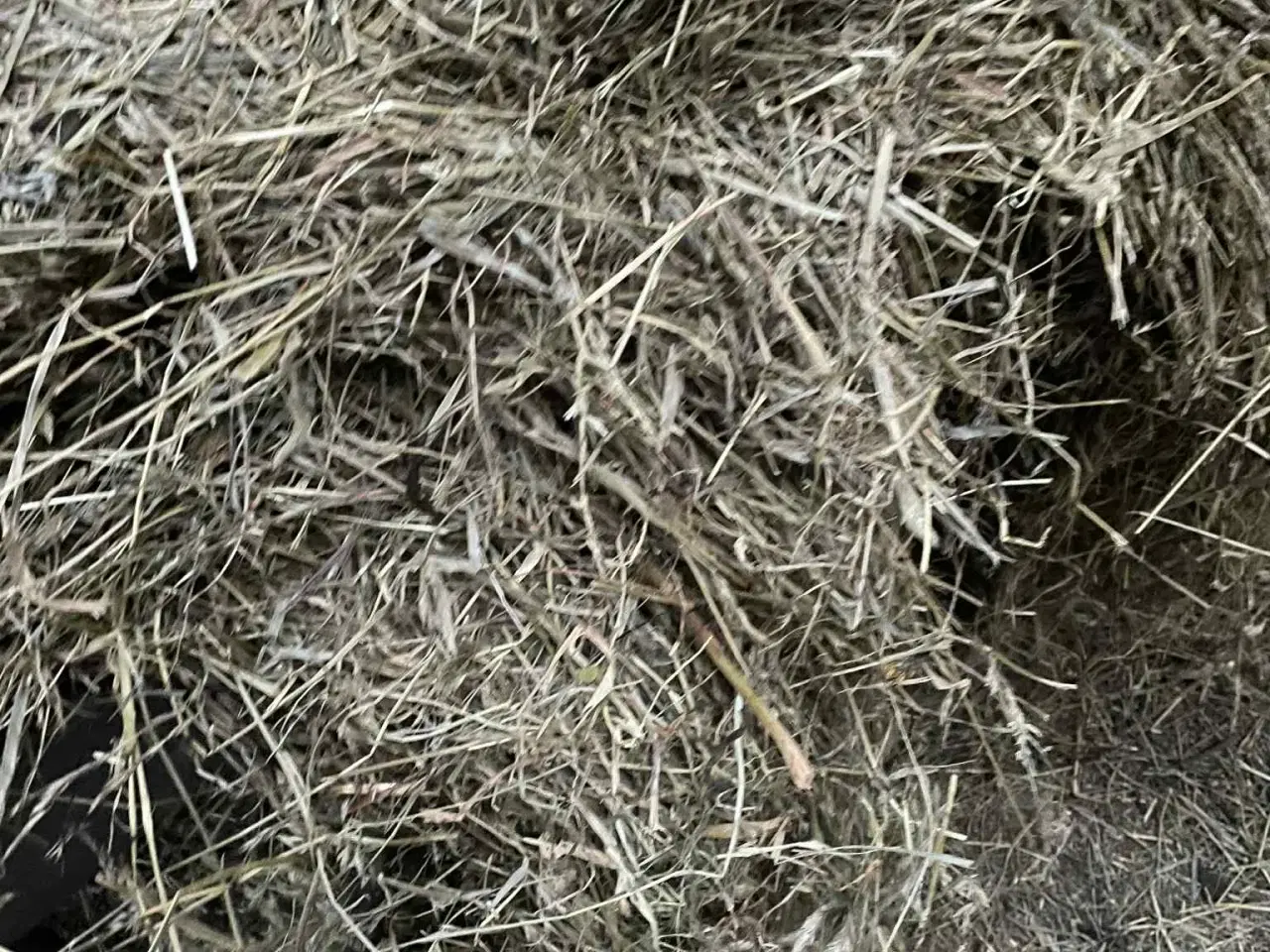 Billede 2 - 🌾💚 LÆKKERT WRAP-HØ TIL SALG – FRISKT, RENT OG KL