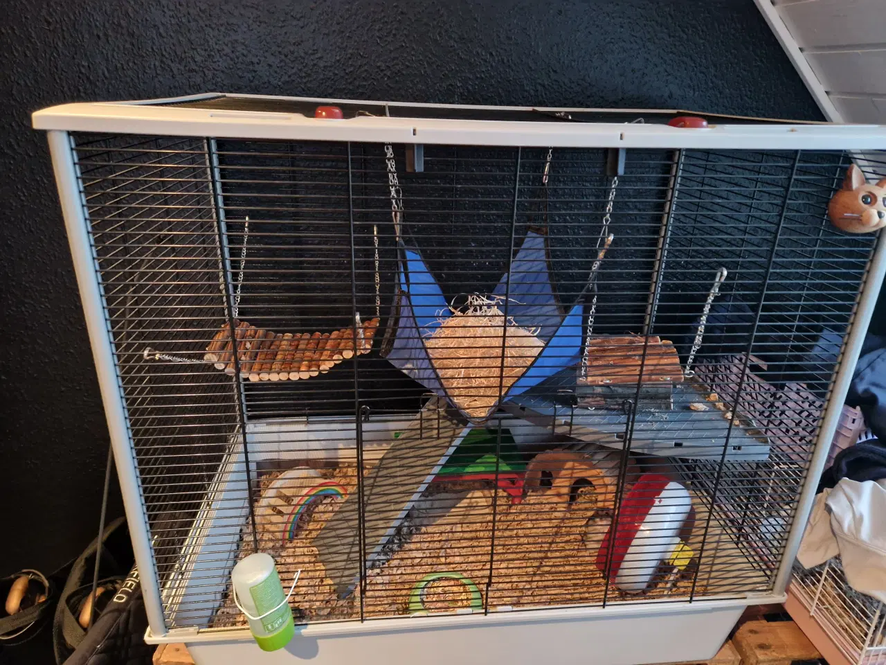 Billede 2 - Hamster med bur og andet tilbehør