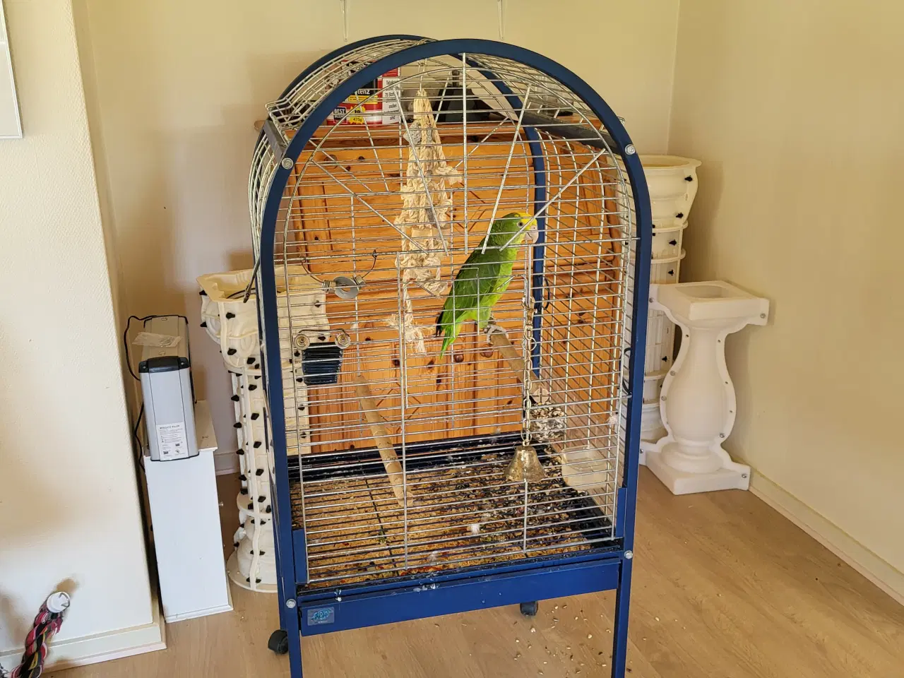 Billede 4 - Gulhovedet