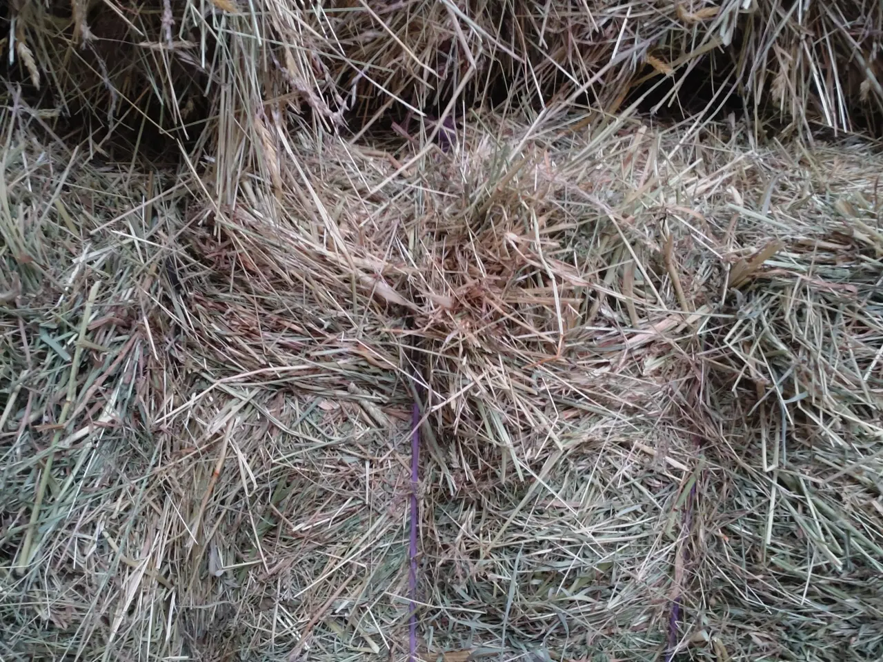 Billede 1 - hø i minibig