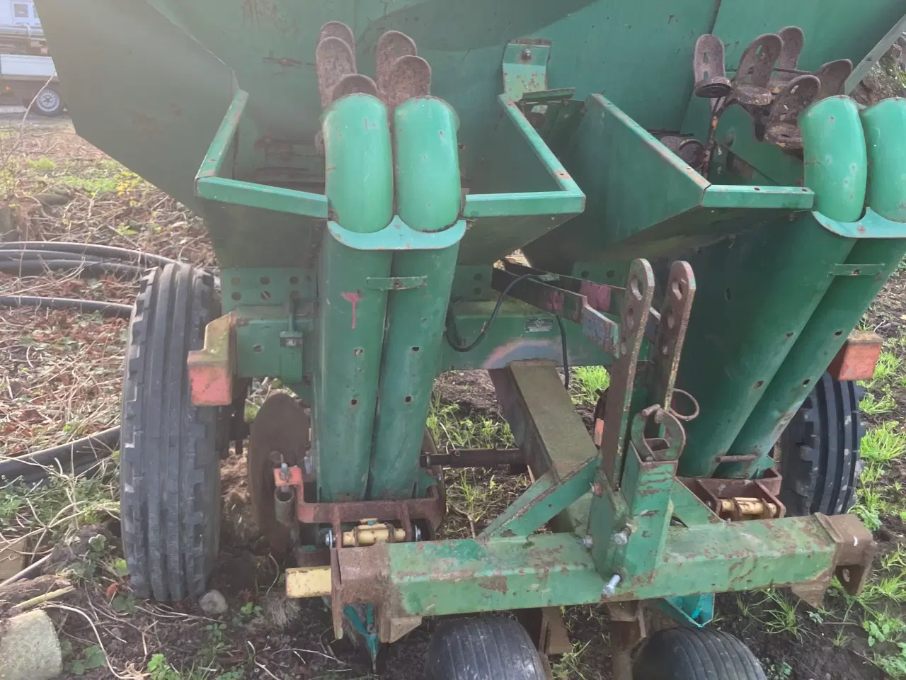 Billede 1 - Kartoffel lægger 