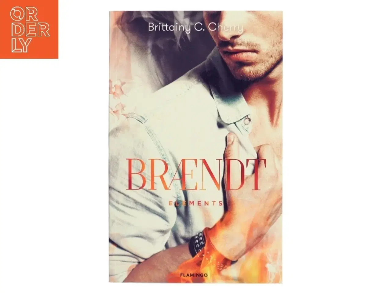 Billede 1 - Brændt af Brittainy C. Cherry (Bog)