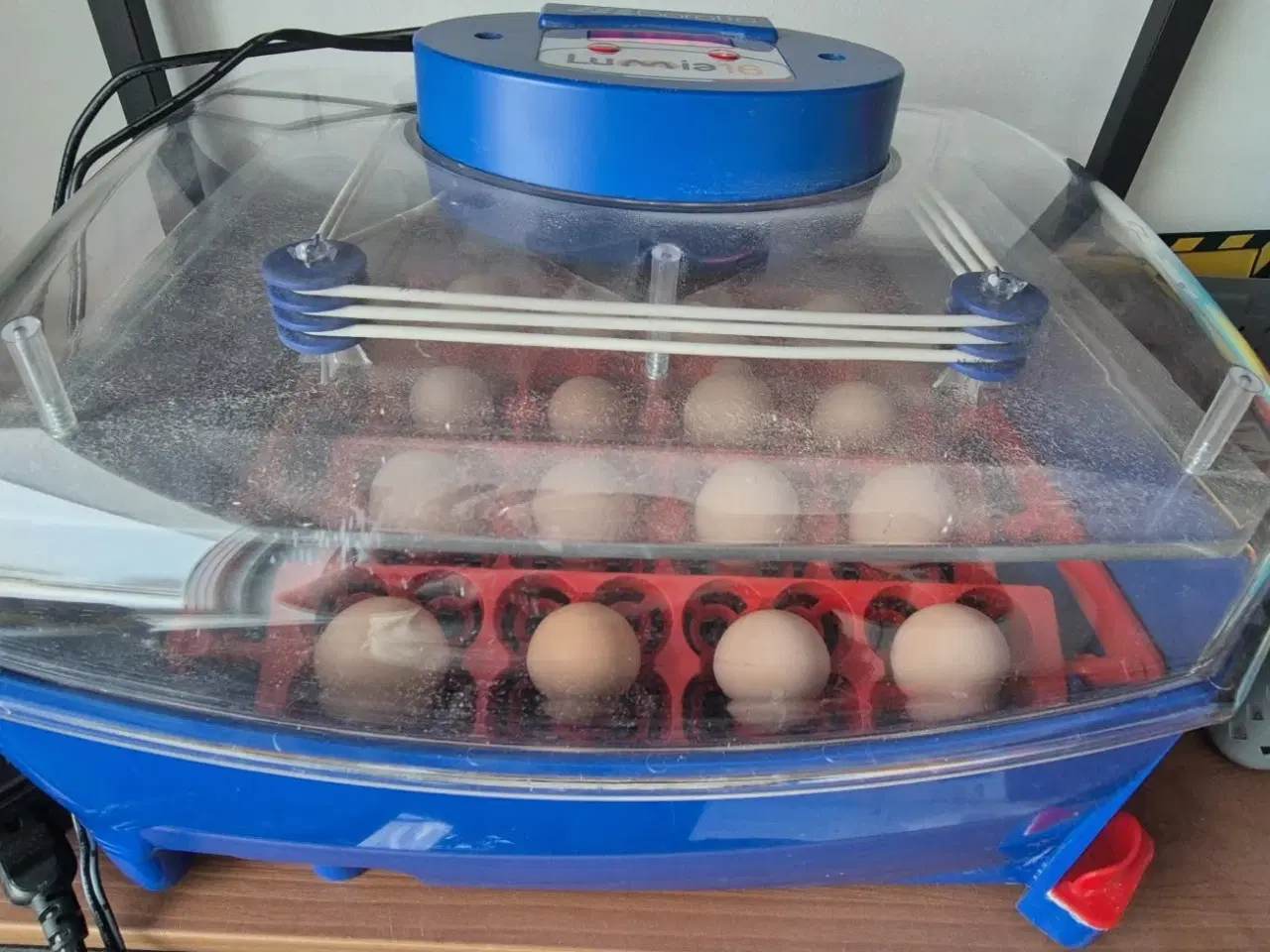 Billede 1 - Stabil rugemaskine