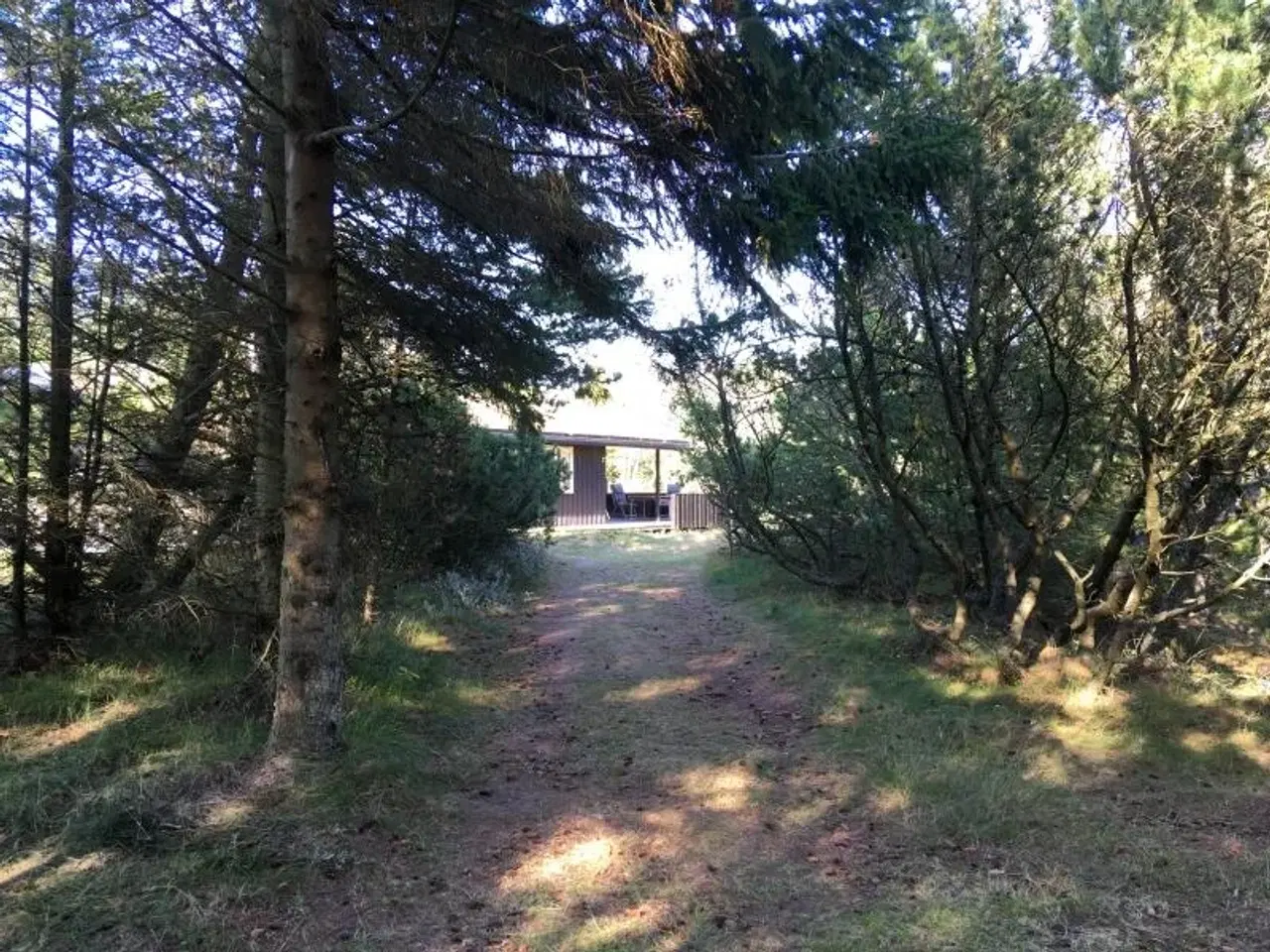 Billede 2 - Sommerhus. Perle med super beliggenhed. Skiveren tæt på Skagen.