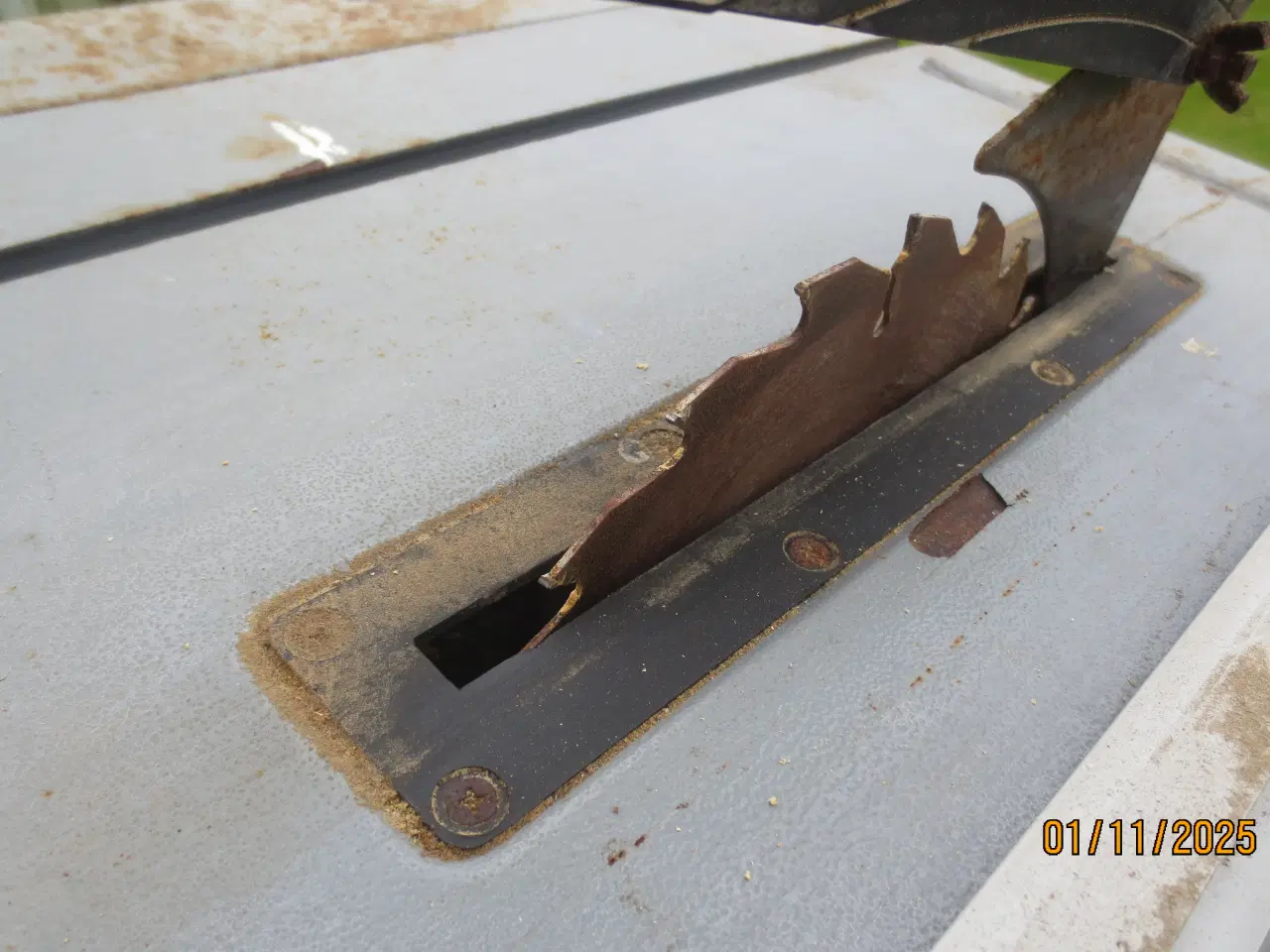 Billede 3 - 1 stk Zoodos Bordrundsav 