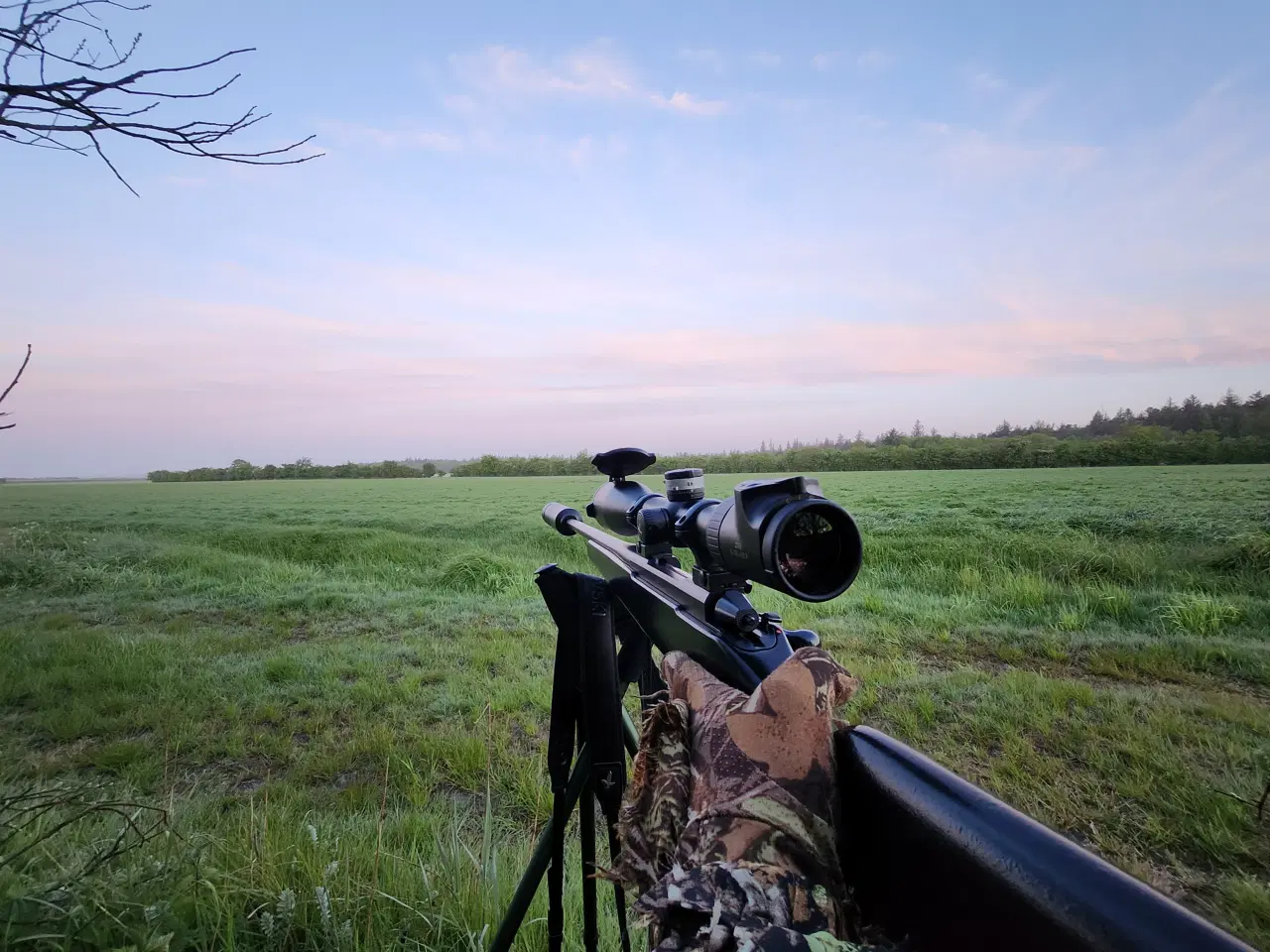 Billede 13 - Sako TRG-S .338 LM