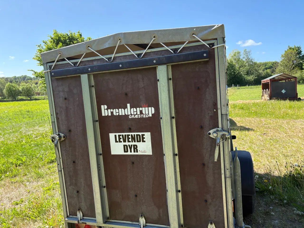 Billede 2 - Godkendt dyretrailer