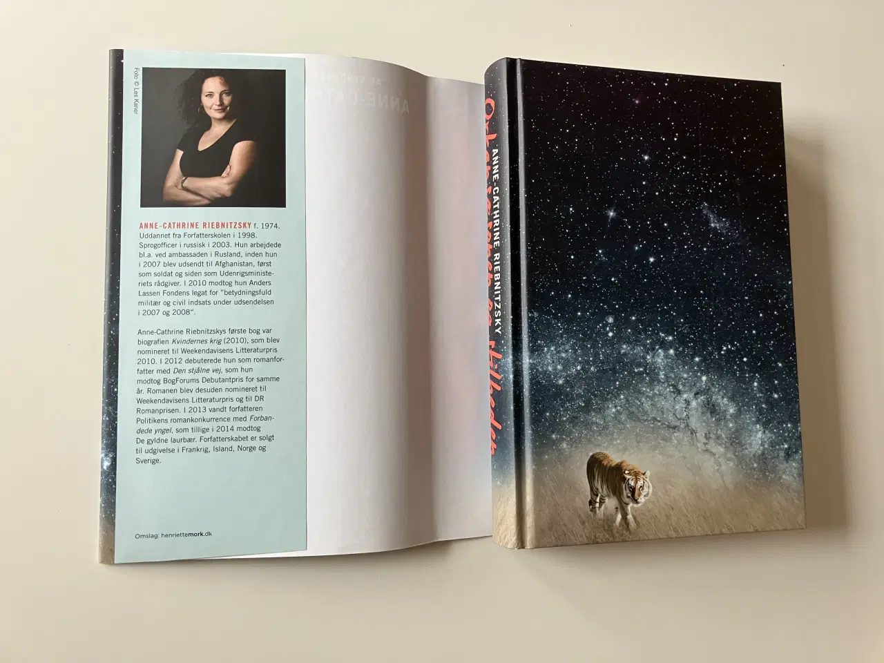 Billede 2 - Orkansæsonen og stilheden. Af Anne-C. Riebnitzsky