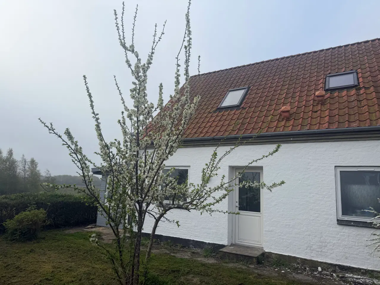 Billede 1 - Omø Havnevej, 4245 Omø
