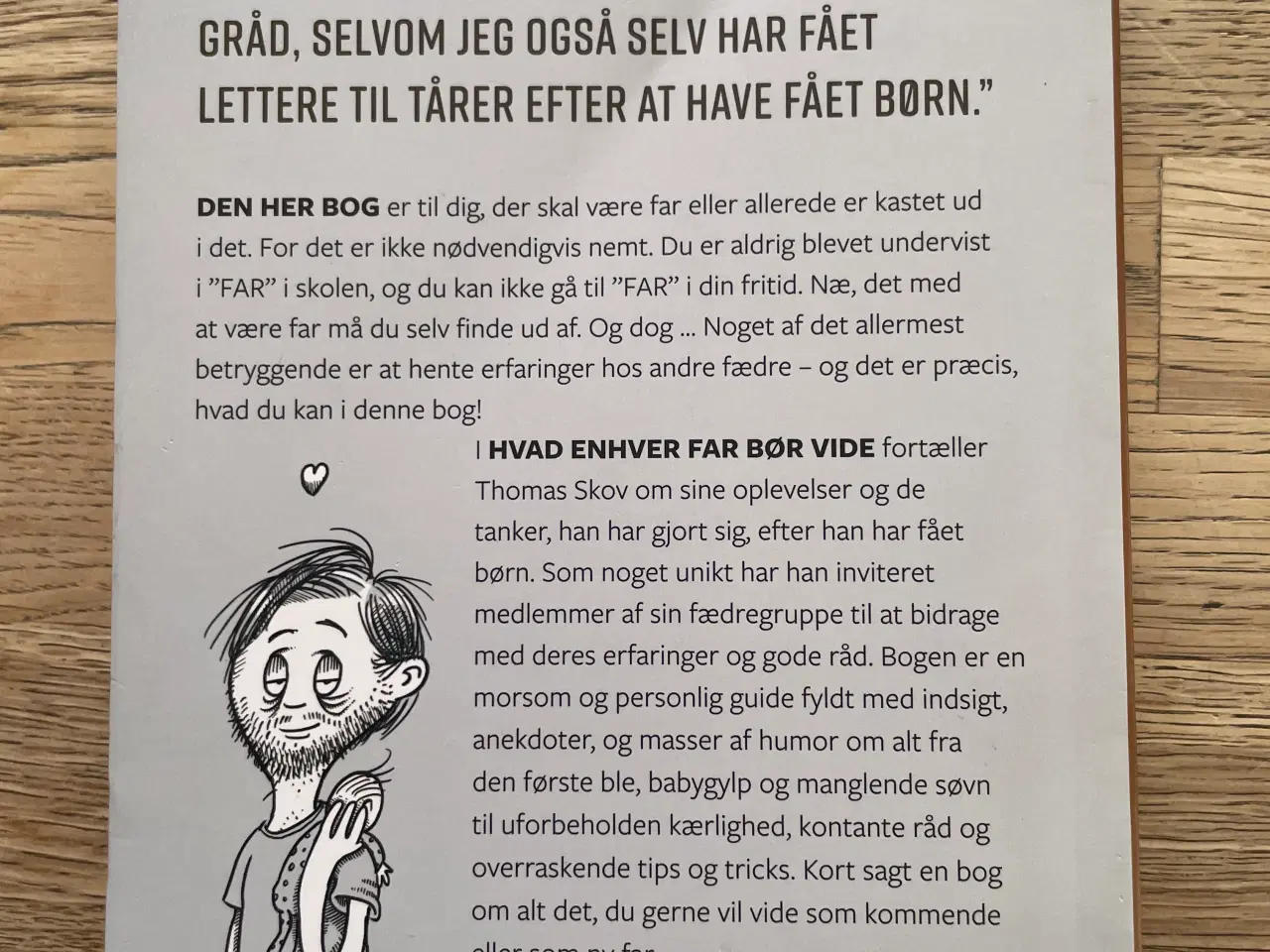 Billede 2 - Hvad enhver far bør vide, Thomas Skov