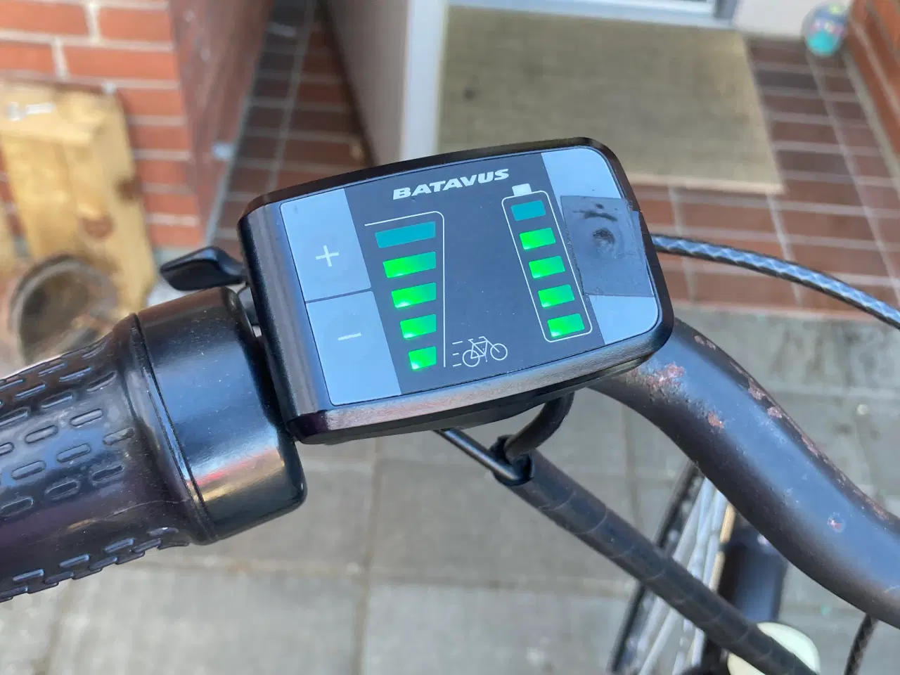 Billede 2 - ældre dame men pæn og velholt