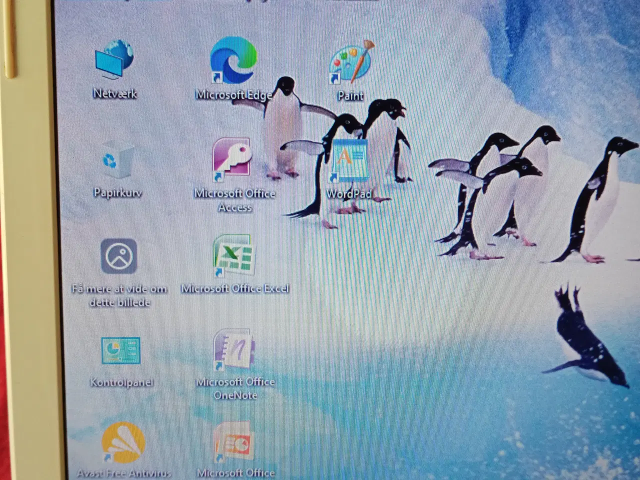 Billede 4 - Julegaven? Flot 17,3" notebook/bærbar