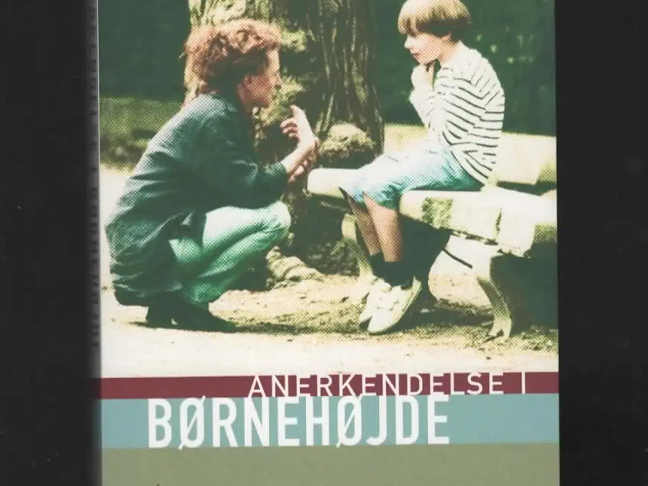 Billede 1 - Pædagogik anerkendelse