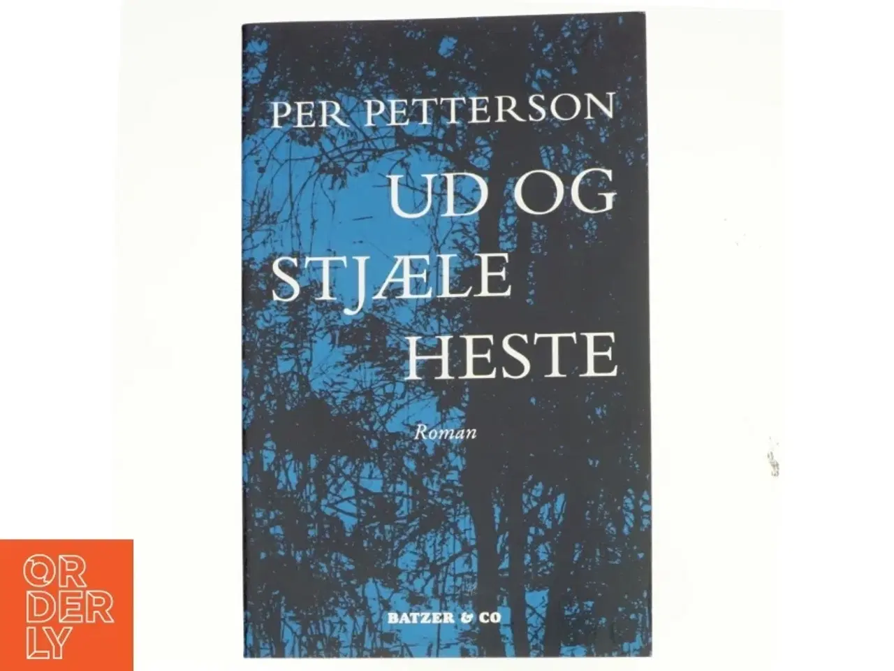 Billede 1 - Ud og stjæle heste : roman (Bog)