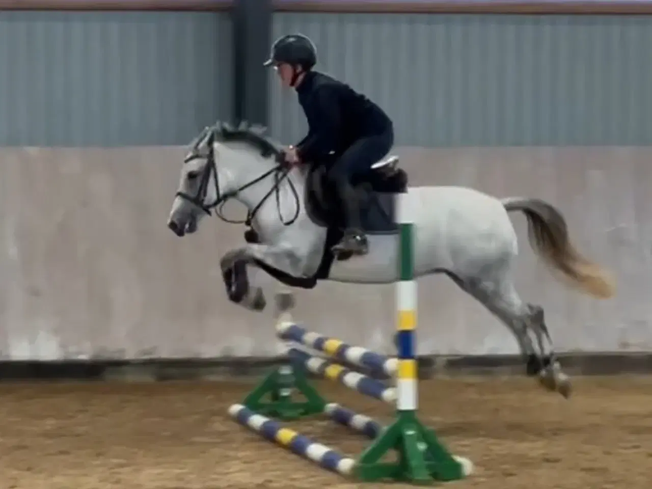 Billede 2 - Fin og sød pony