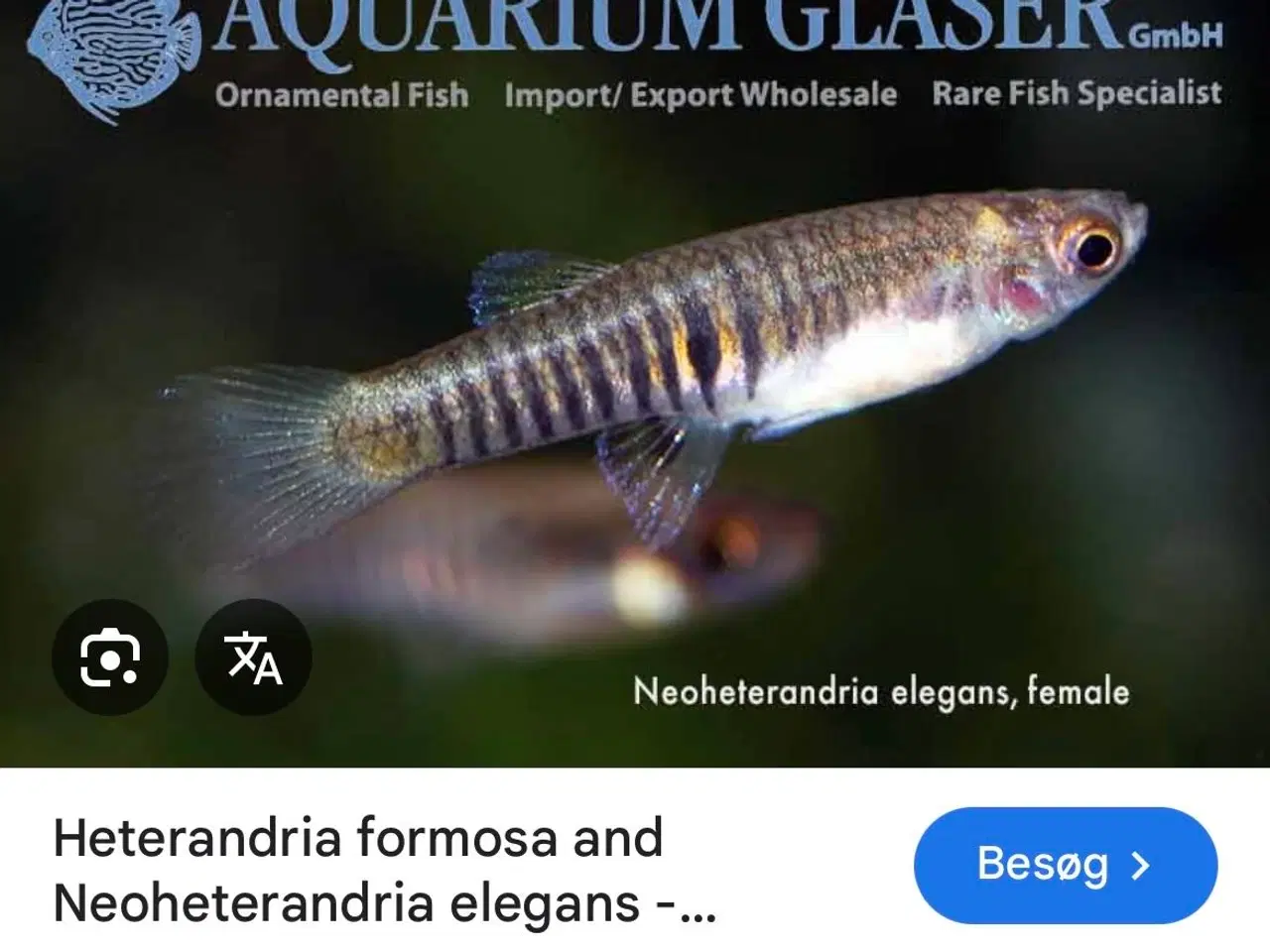 Billede 10 - Fire ens 45 liters akvarier på møbel hvis ønskes