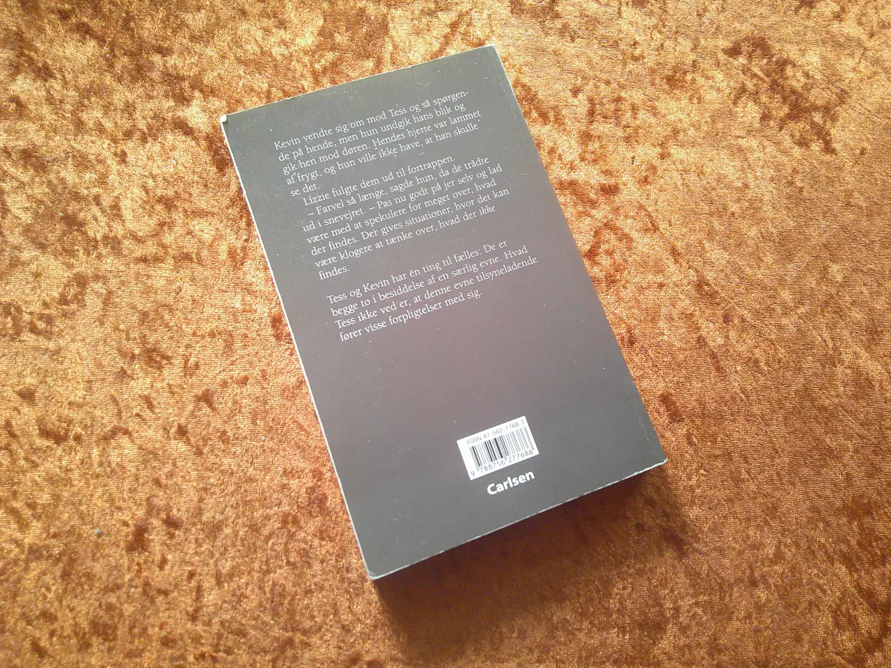 Billede 2 - Det som ikke findes, Kate Thompson