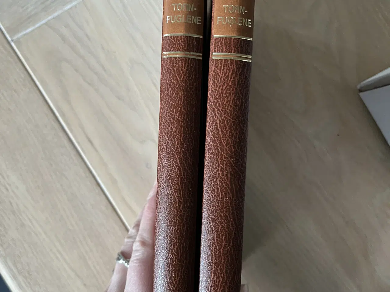 Billede 1 - Tornfuglene 